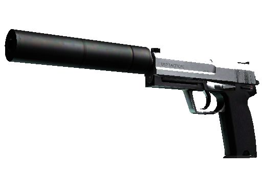 USP-S | Stainless (Factory New)
